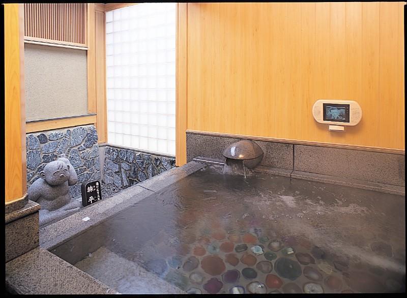 Hotel Seifuuen Shibata  Tiện nghi bức ảnh